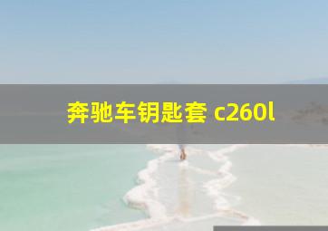 奔驰车钥匙套 c260l